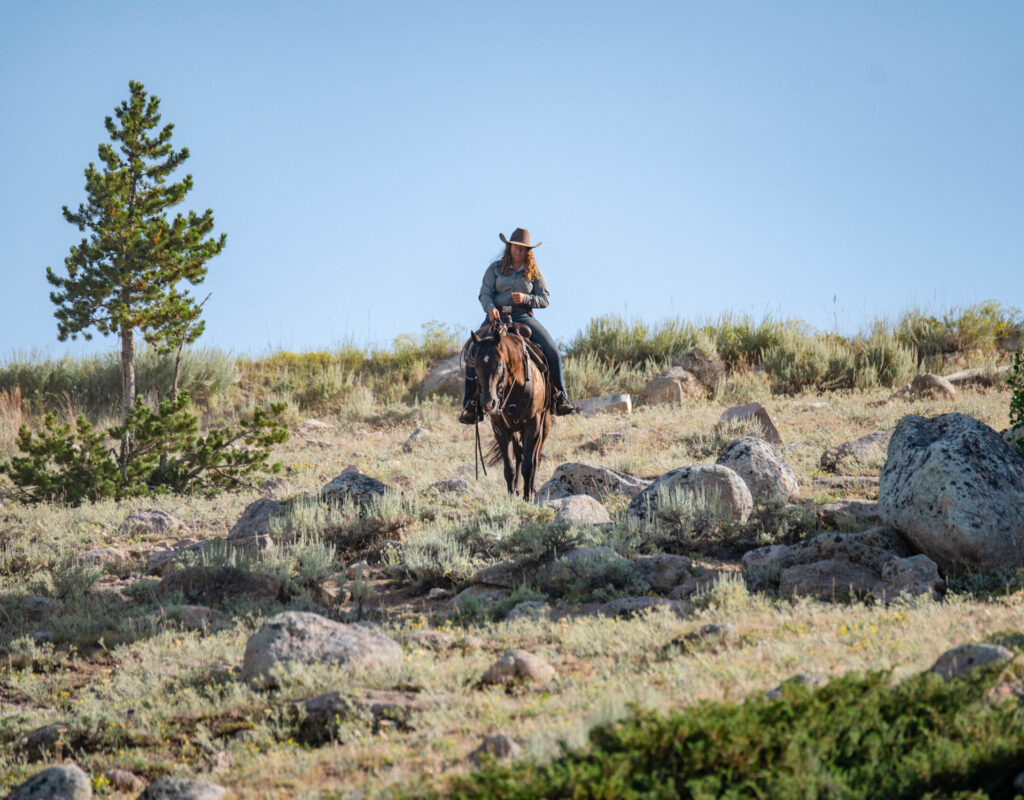 Chip - 2018 Buckskin Gelding