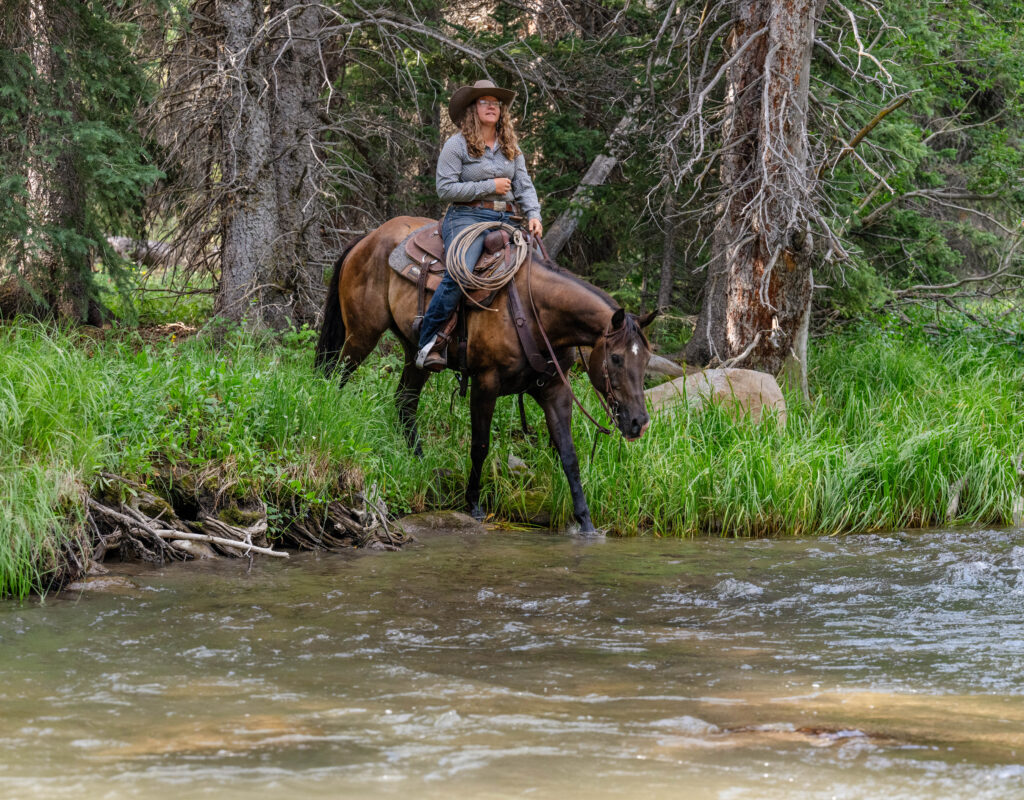 Chip - 2018 Buckskin Gelding