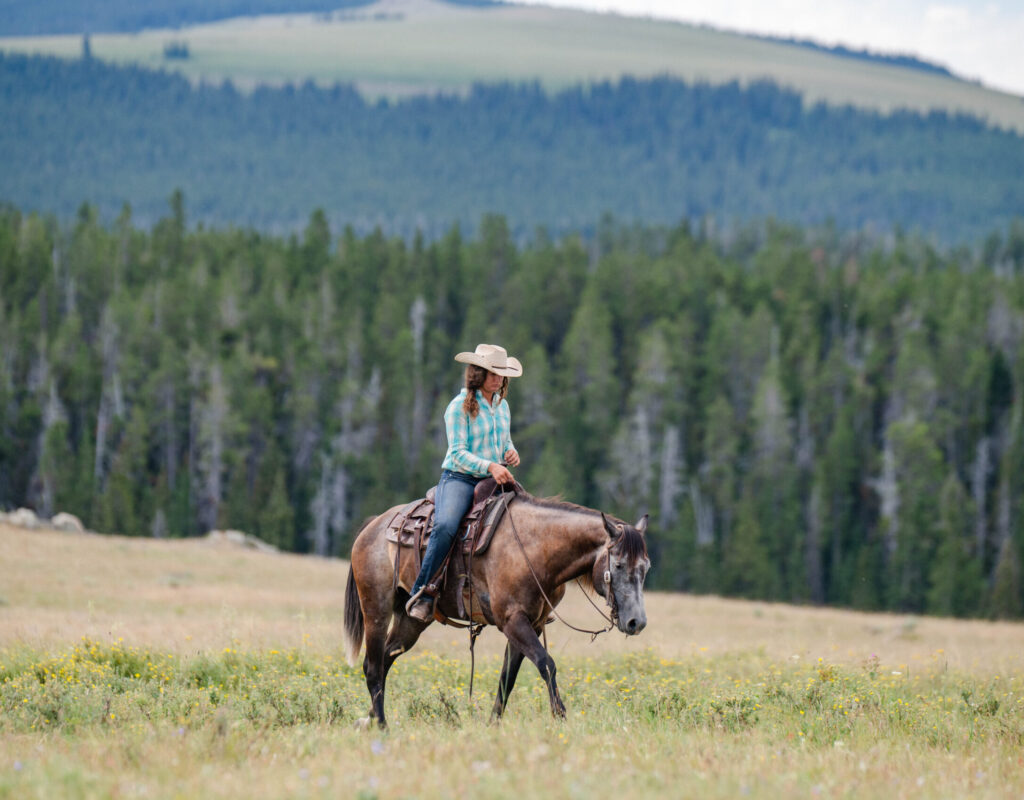 Tater - 2019 Gray Gelding
