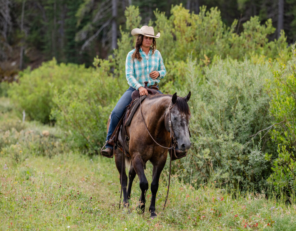 Tater - 2019 Gray Gelding