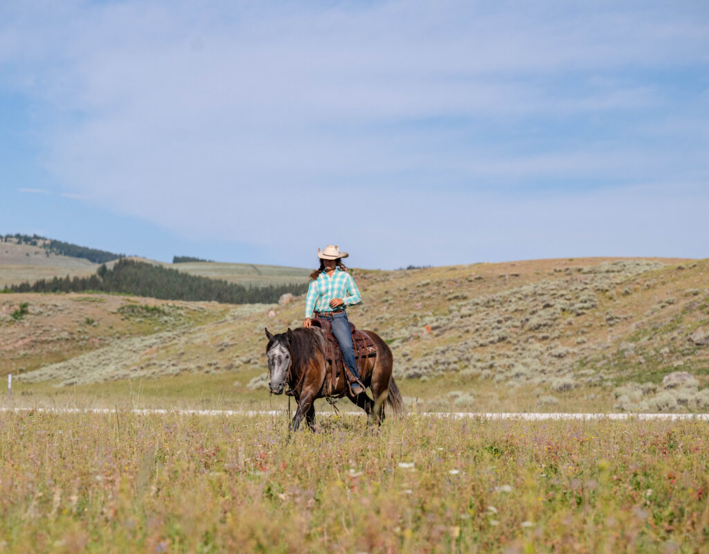 Tater - 2019 Gray Gelding