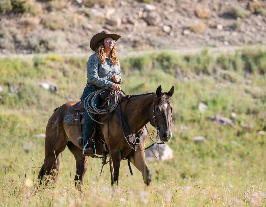 Chip - 2018 Buckskin Gelding - SOLD